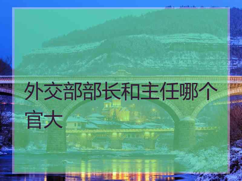 外交部部长和主任哪个官大