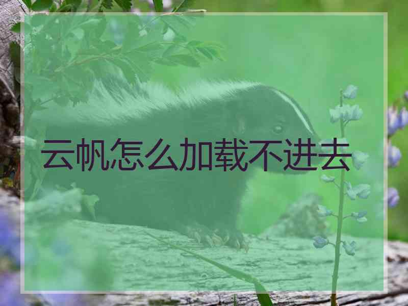 云帆怎么加载不进去