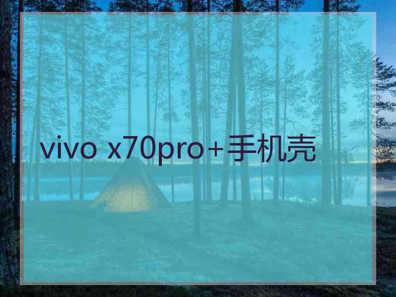 vivo x70pro+手机壳