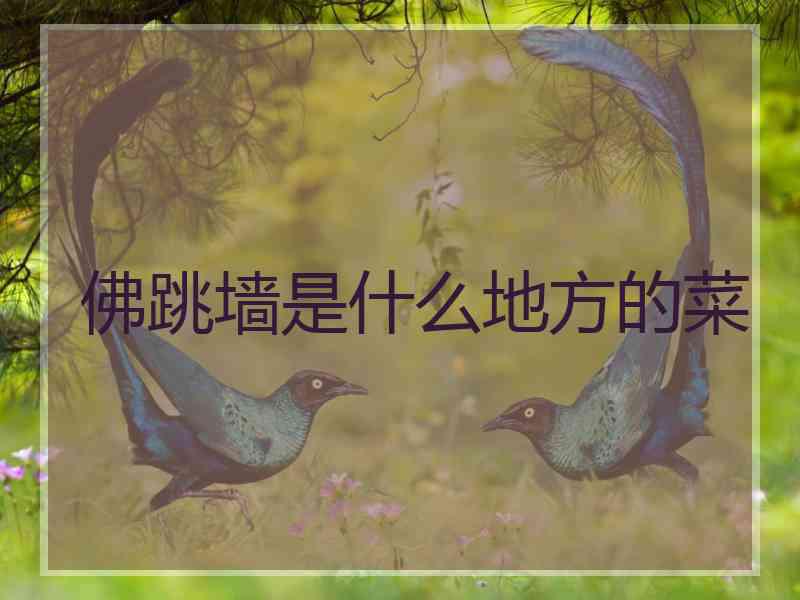 佛跳墙是什么地方的菜