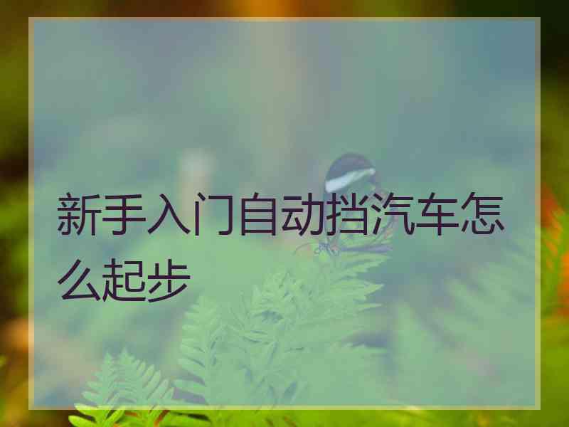 新手入门自动挡汽车怎么起步