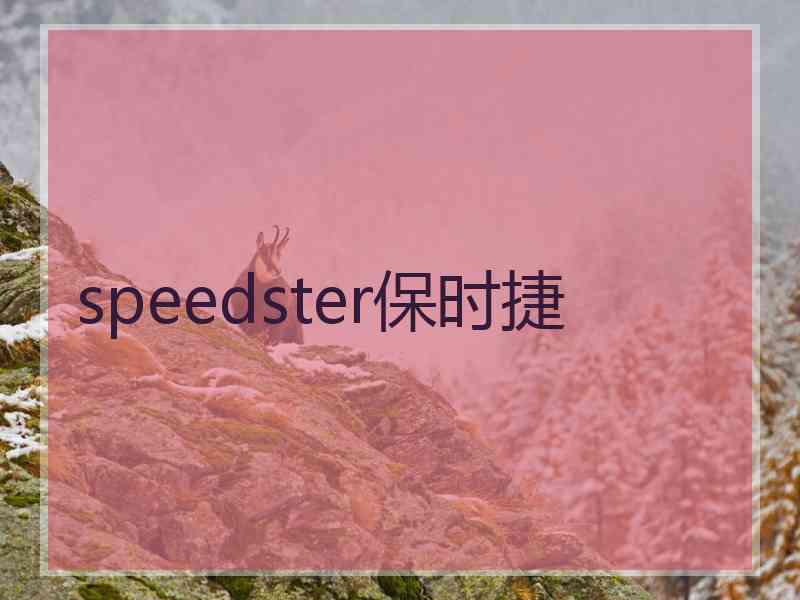 speedster保时捷