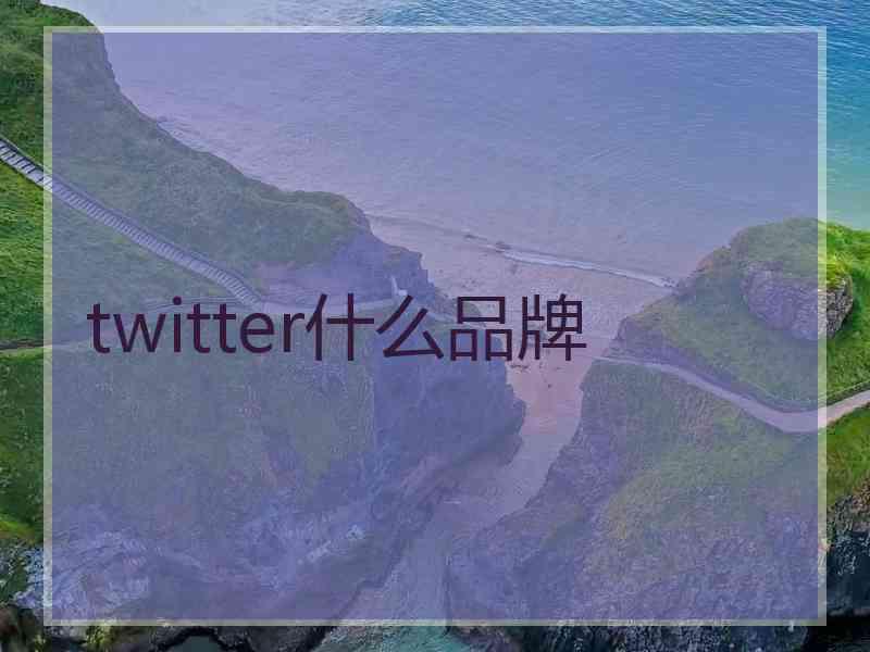 twitter什么品牌