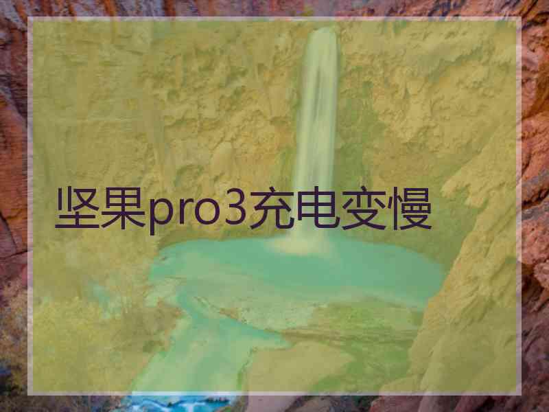 坚果pro3充电变慢