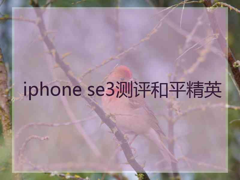 iphone se3测评和平精英