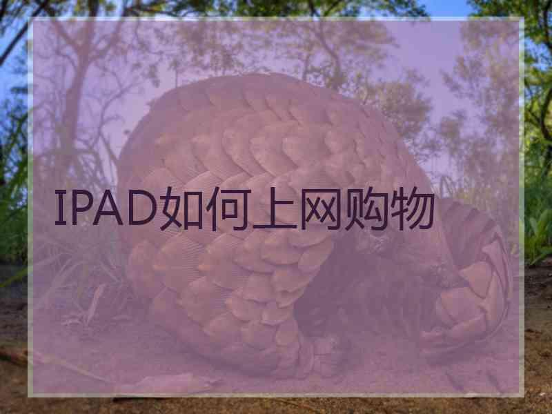 IPAD如何上网购物