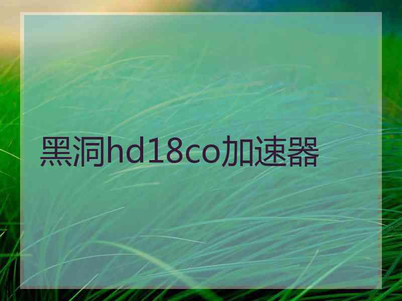 黑洞hd18co加速器