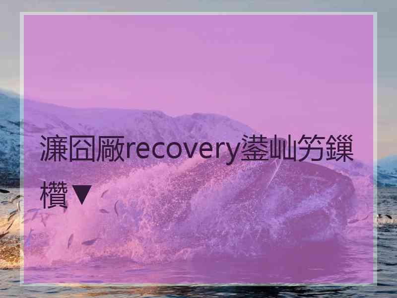 濂囧厰recovery鍙屾竻鏁欑▼