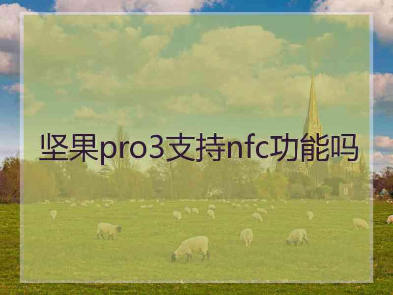 坚果pro3支持nfc功能吗