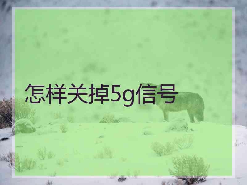 怎样关掉5g信号