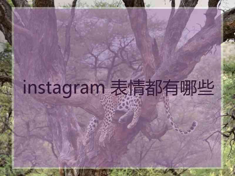 instagram 表情都有哪些