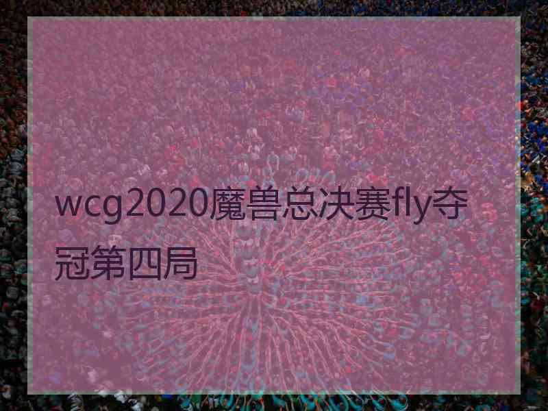 wcg2020魔兽总决赛fly夺冠第四局