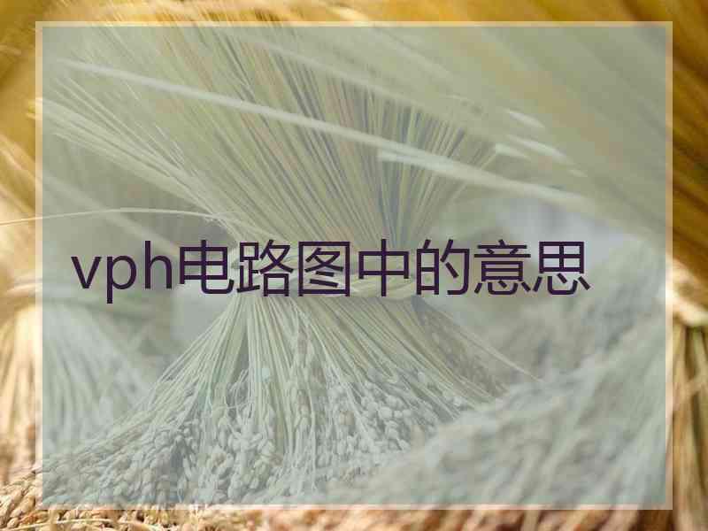 vph电路图中的意思