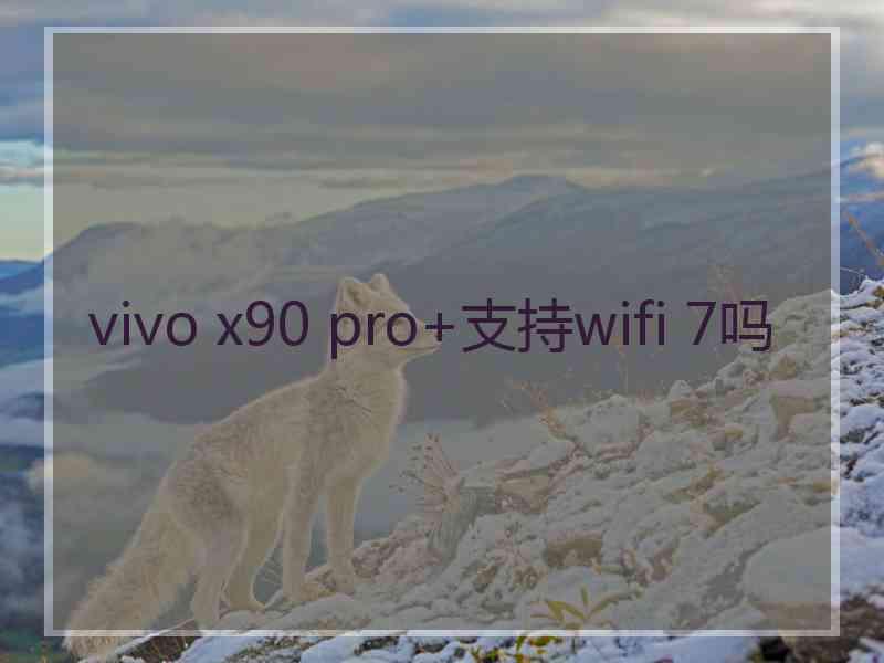 vivo x90 pro+支持wifi 7吗