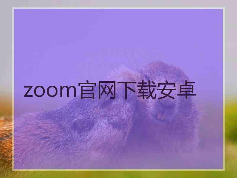 zoom官网下载安卓