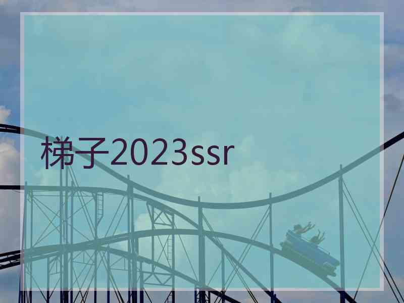 梯子2023ssr