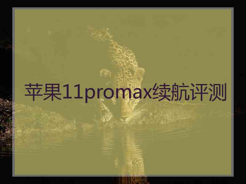 苹果11promax续航评测