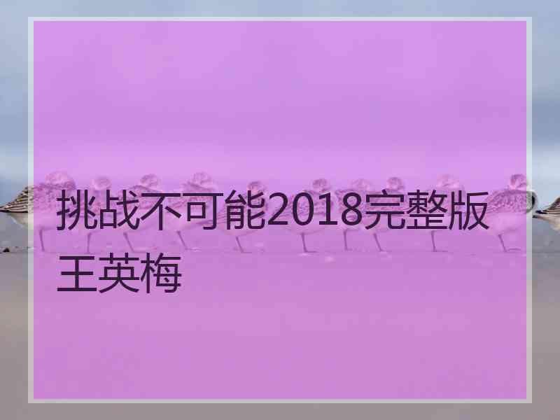 挑战不可能2018完整版王英梅