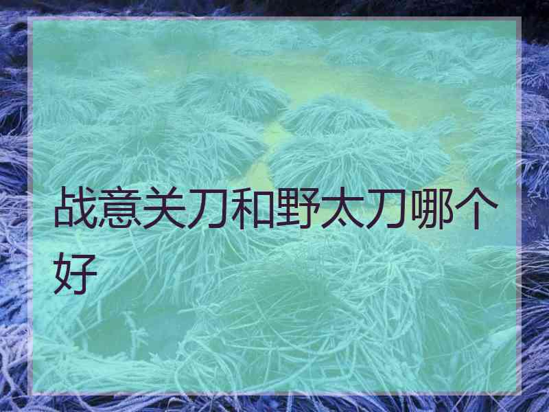 战意关刀和野太刀哪个好