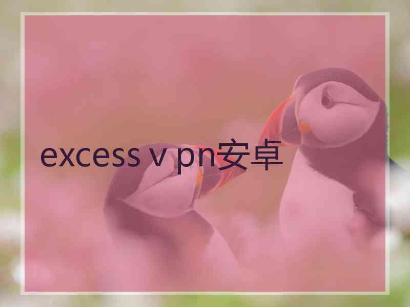 excessⅴpn安卓