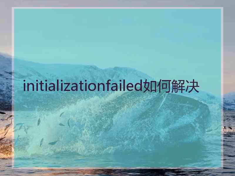 initializationfailed如何解决