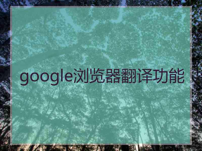 google浏览器翻译功能