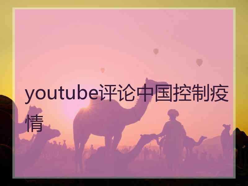 youtube评论中国控制疫情