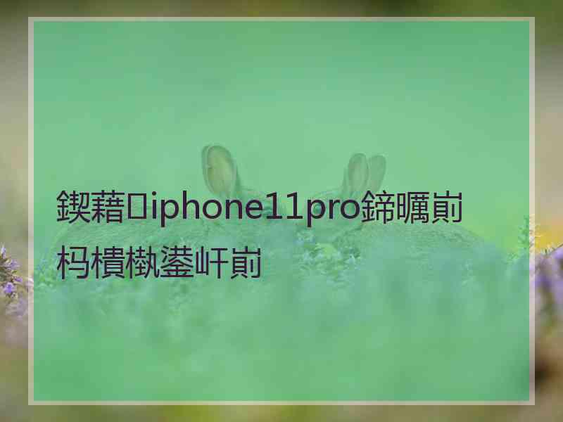 鍥藉iphone11pro鍗曞崱杩樻槸鍙屽崱