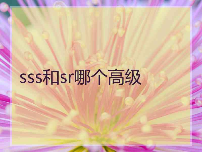 sss和sr哪个高级