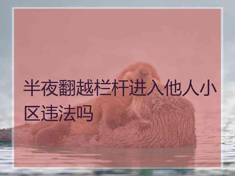 半夜翻越栏杆进入他人小区违法吗