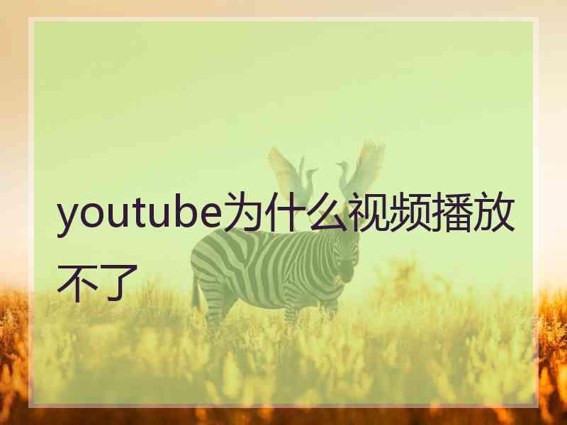 youtube为什么视频播放不了