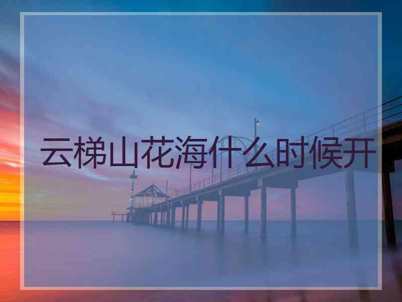 云梯山花海什么时候开