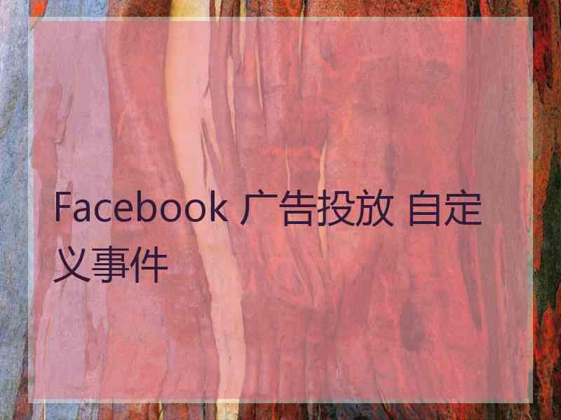 Facebook 广告投放 自定义事件