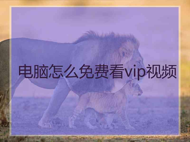 电脑怎么免费看vip视频