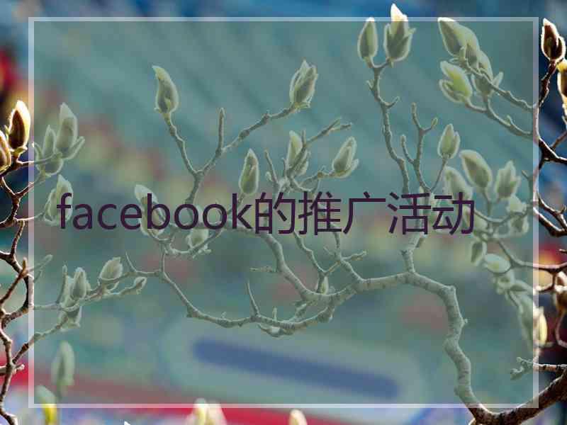 facebook的推广活动