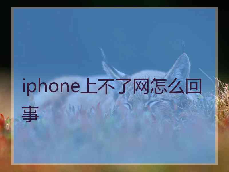 iphone上不了网怎么回事