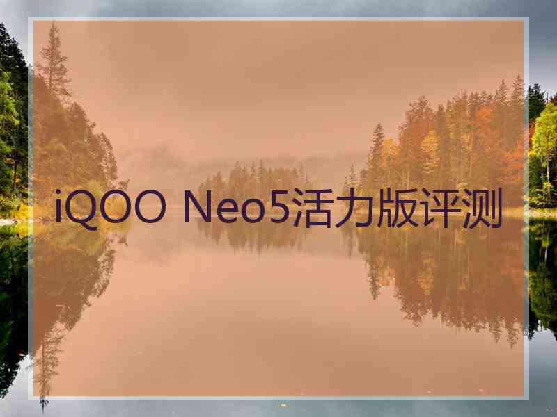 iQOO Neo5活力版评测