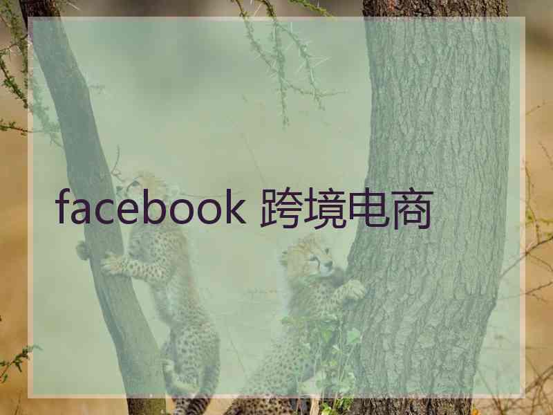 facebook 跨境电商