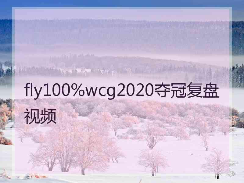 fly100%wcg2020夺冠复盘视频