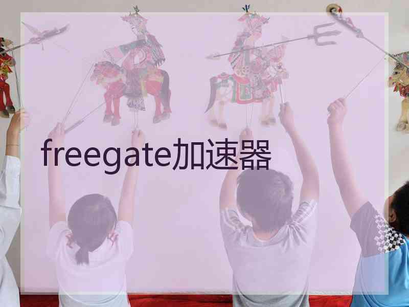 freegate加速器