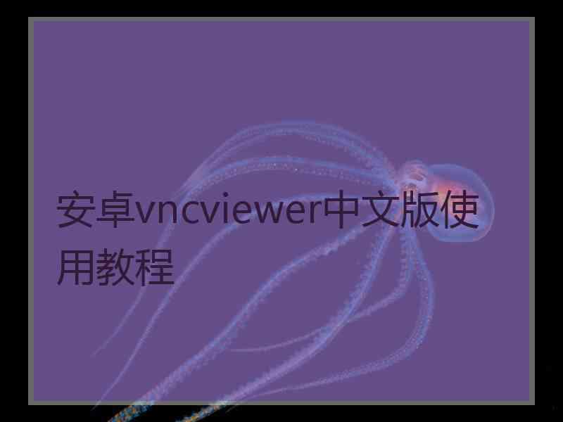 安卓vncviewer中文版使用教程