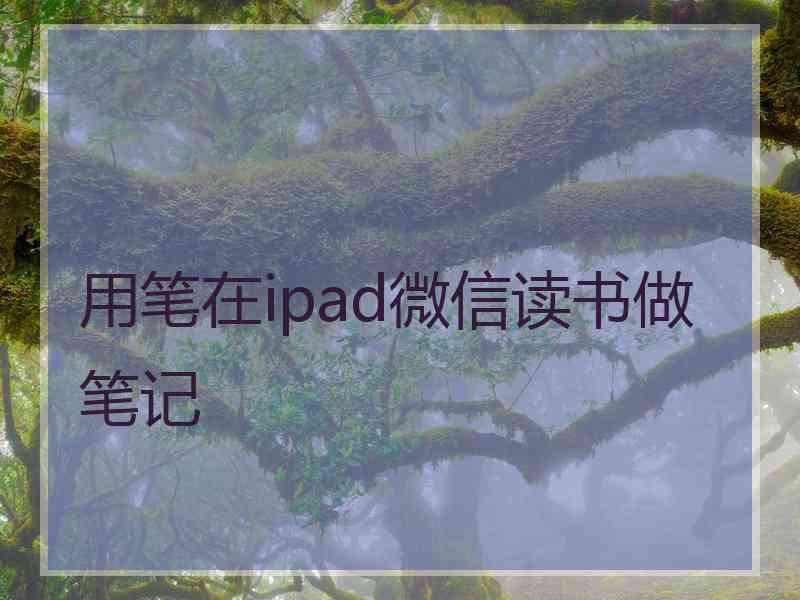 用笔在ipad微信读书做笔记