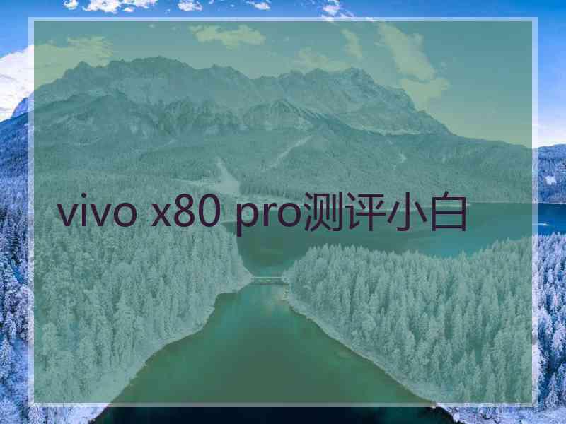 vivo x80 pro测评小白