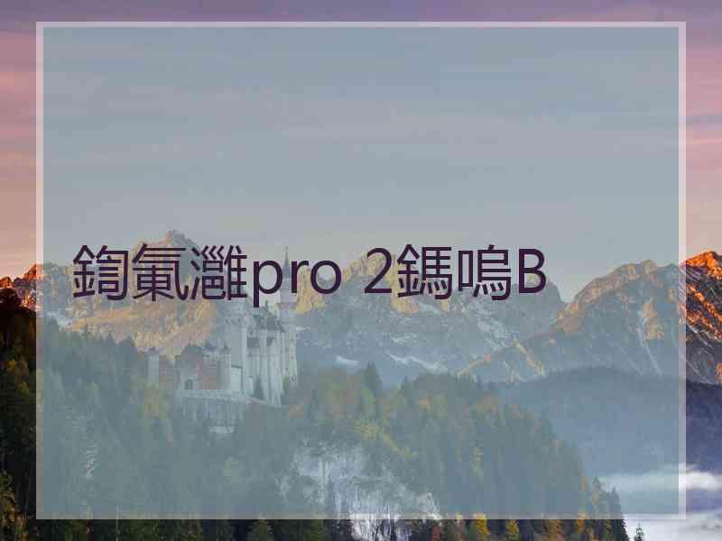 鍧氭灉pro 2鎷嗚В