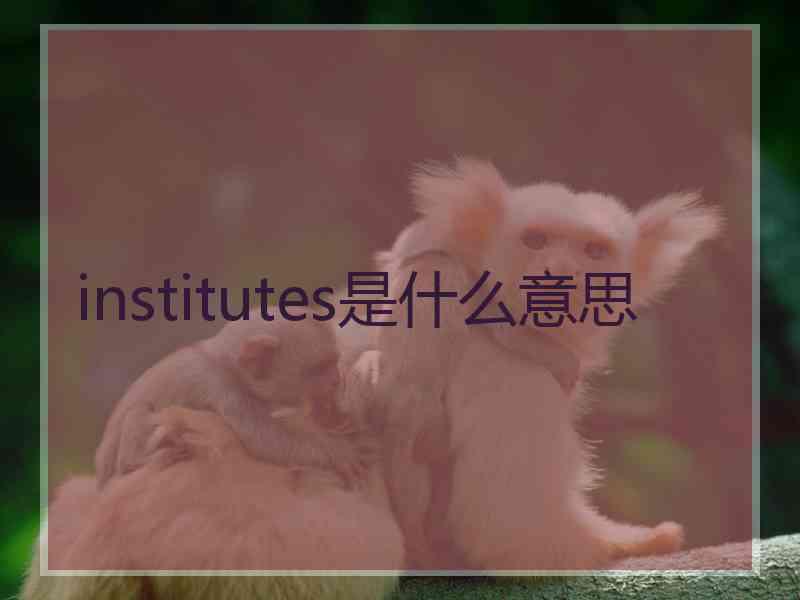 institutes是什么意思