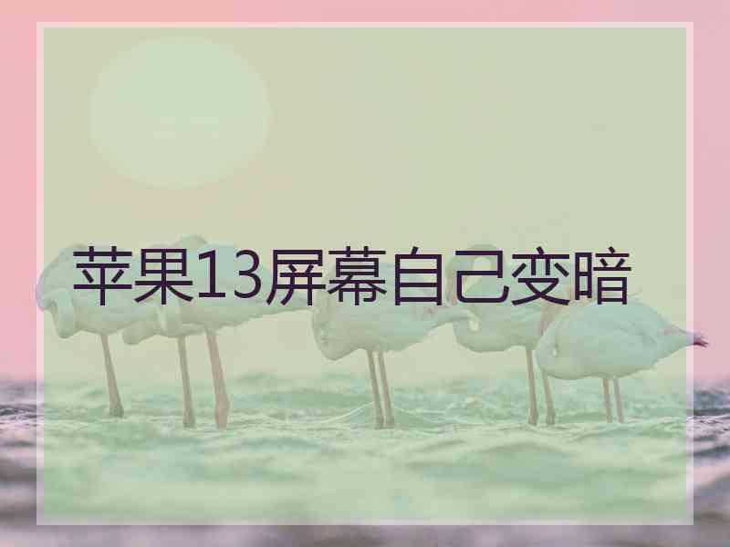 苹果13屏幕自己变暗