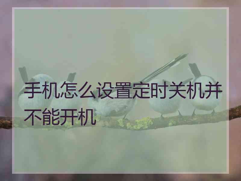 手机怎么设置定时关机并不能开机