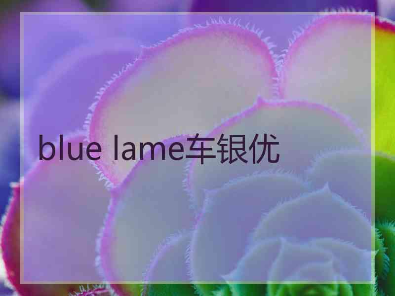 blue lame车银优