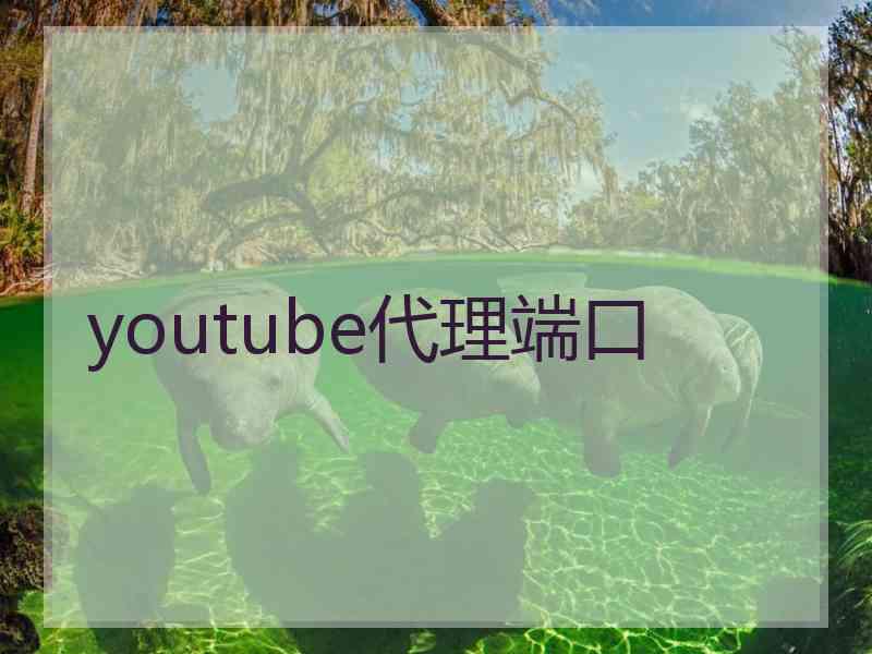 youtube代理端口