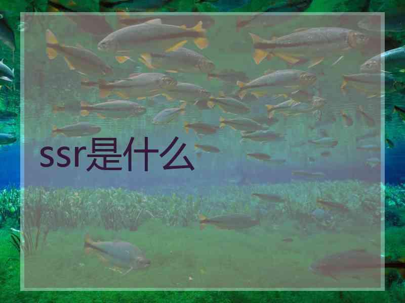 ssr是什么